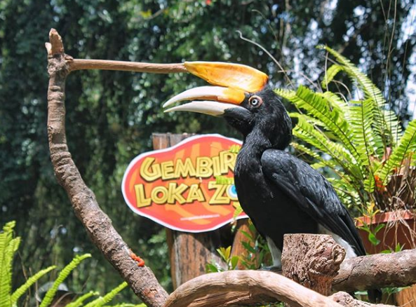 Gembira Loka Zoo Wisata Edukasi