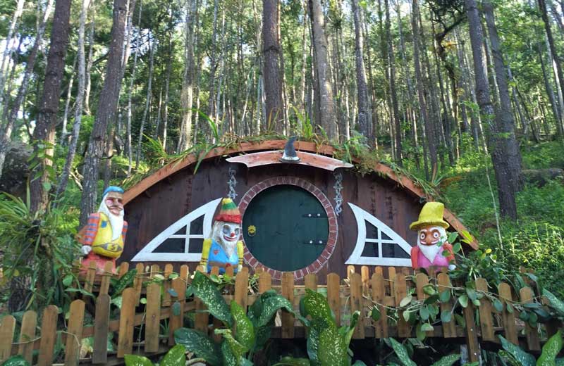 Rumah Hobbit, Tujuan Wisatawan yang Booming di Yogyakarta