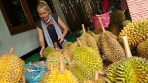 durian candimulyo