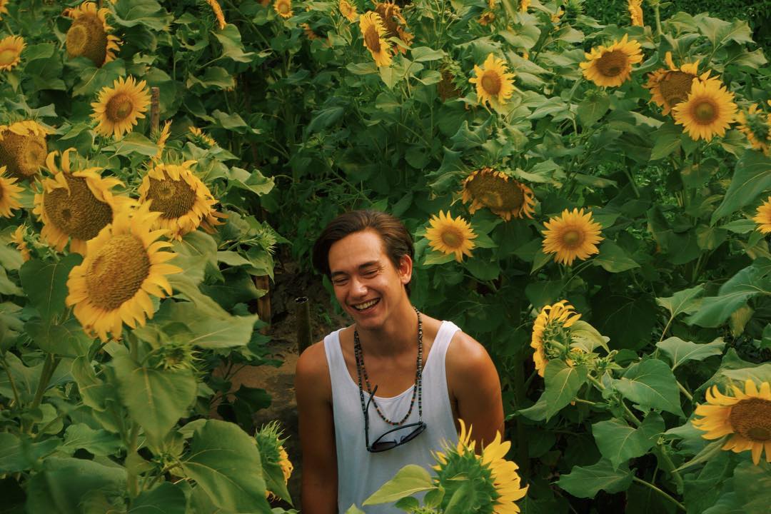 Kebun Bunga Matahari Bantul, Destinasi Hits dan Instagramable